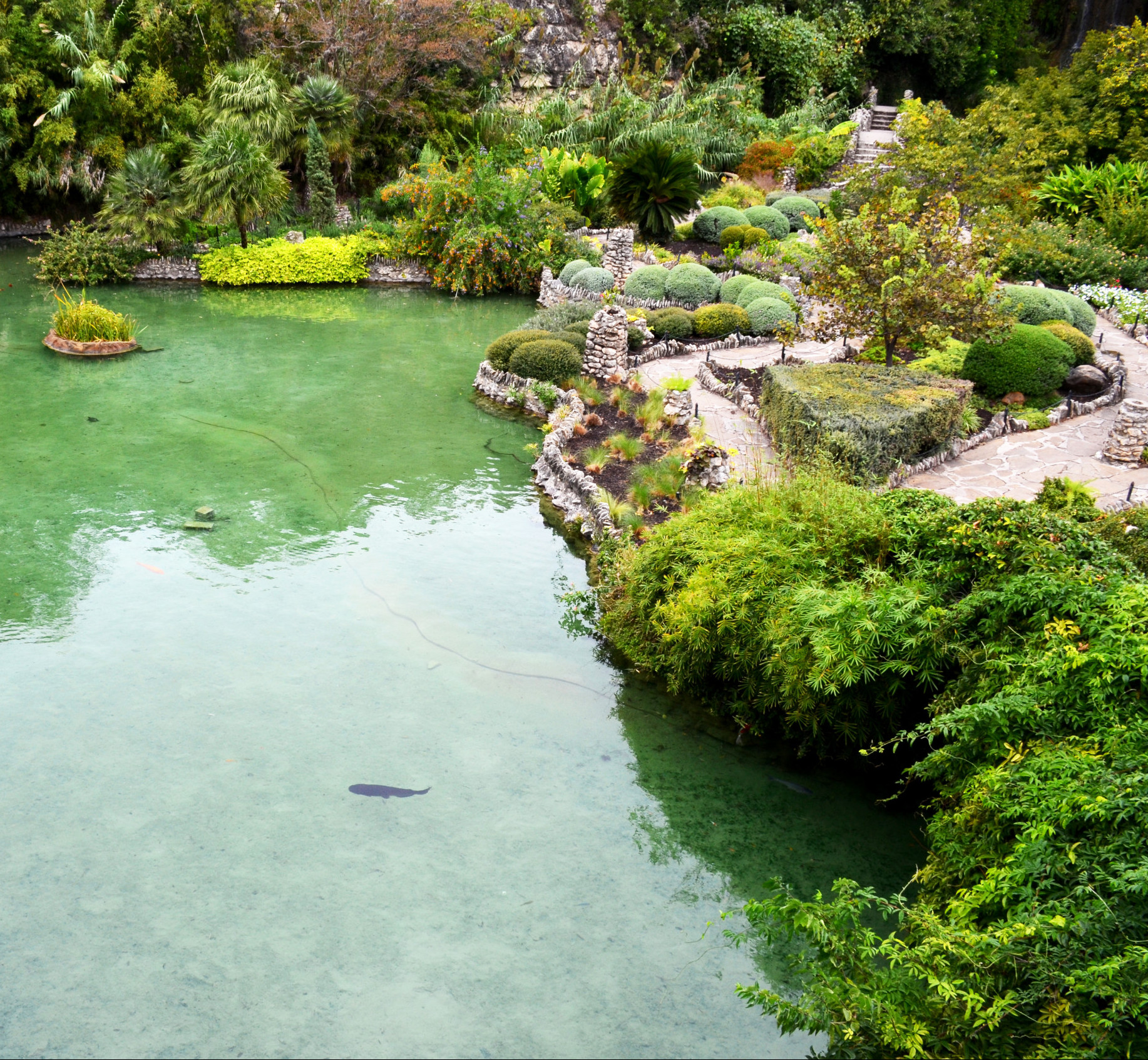 Japanese Tea Garden in Texas